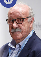 Vicente del Bosque